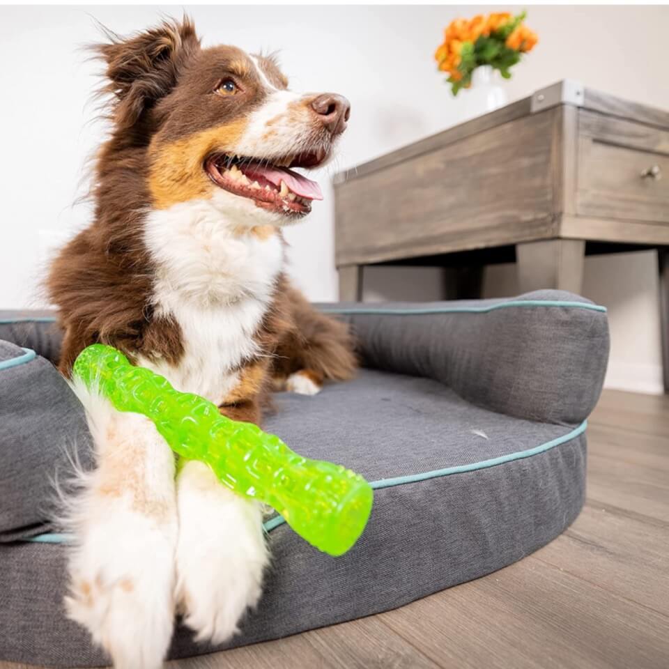 HYPER PET Juguete para perro Dura-Squeaks Stick Large - Imagen 2