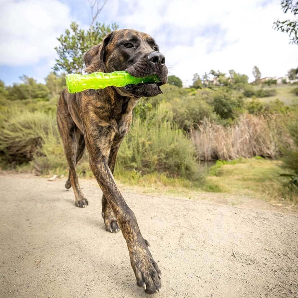 HYPER PET Juguete para perro Dura-Squeaks Stick Large - Imagen 3