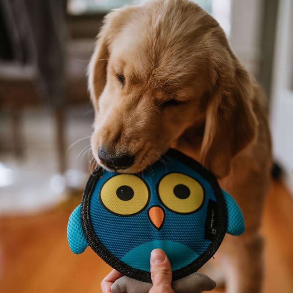HYPER PET Juguete para perro Firehose Flyers Owl - Imagen 2