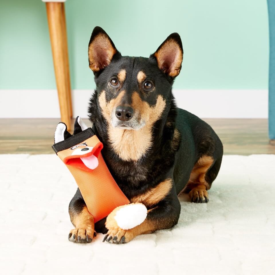 HYPER PET Juguete para perro Firehose Friends Fox - Imagen 2