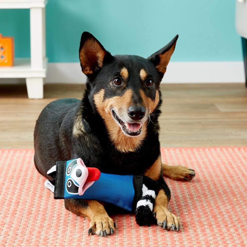HYPER PET Juguete para perro Firehose Friends Raccoon - Imagen 2