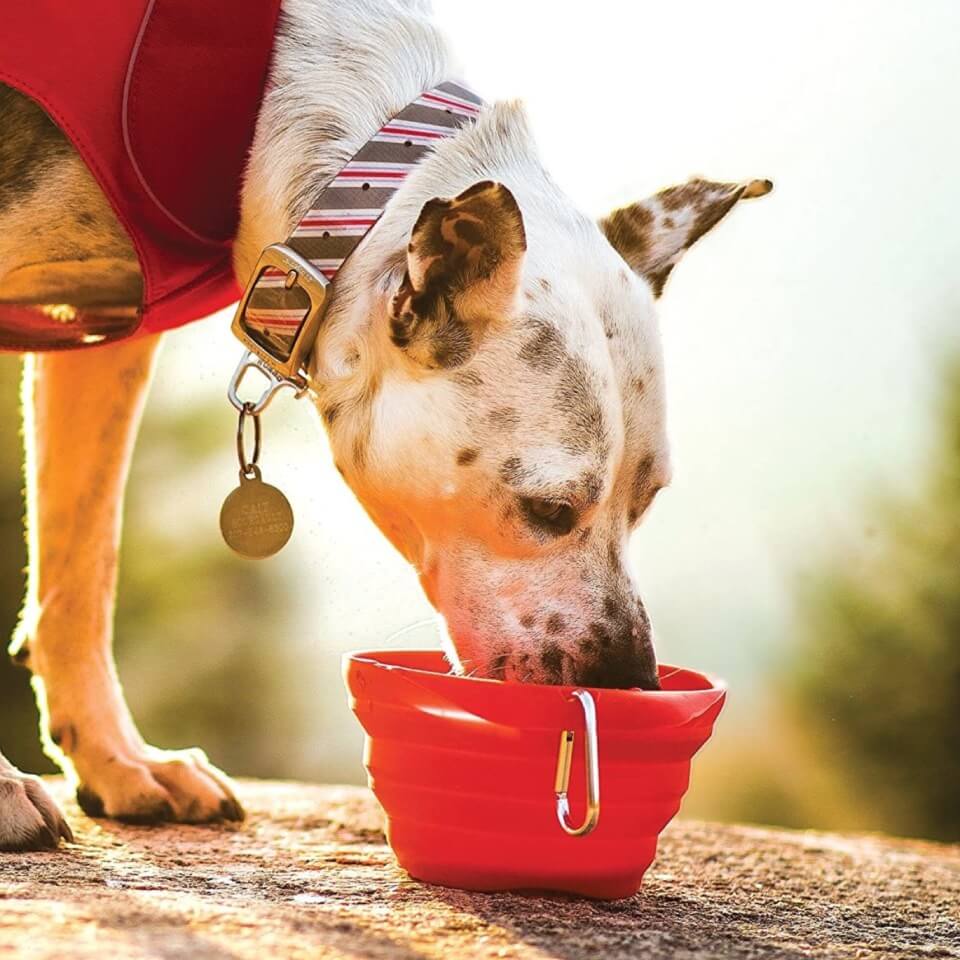 Kurgo Tazón portátil colapsable para perro Collaps a Bowl - Rojo - Imagen 3