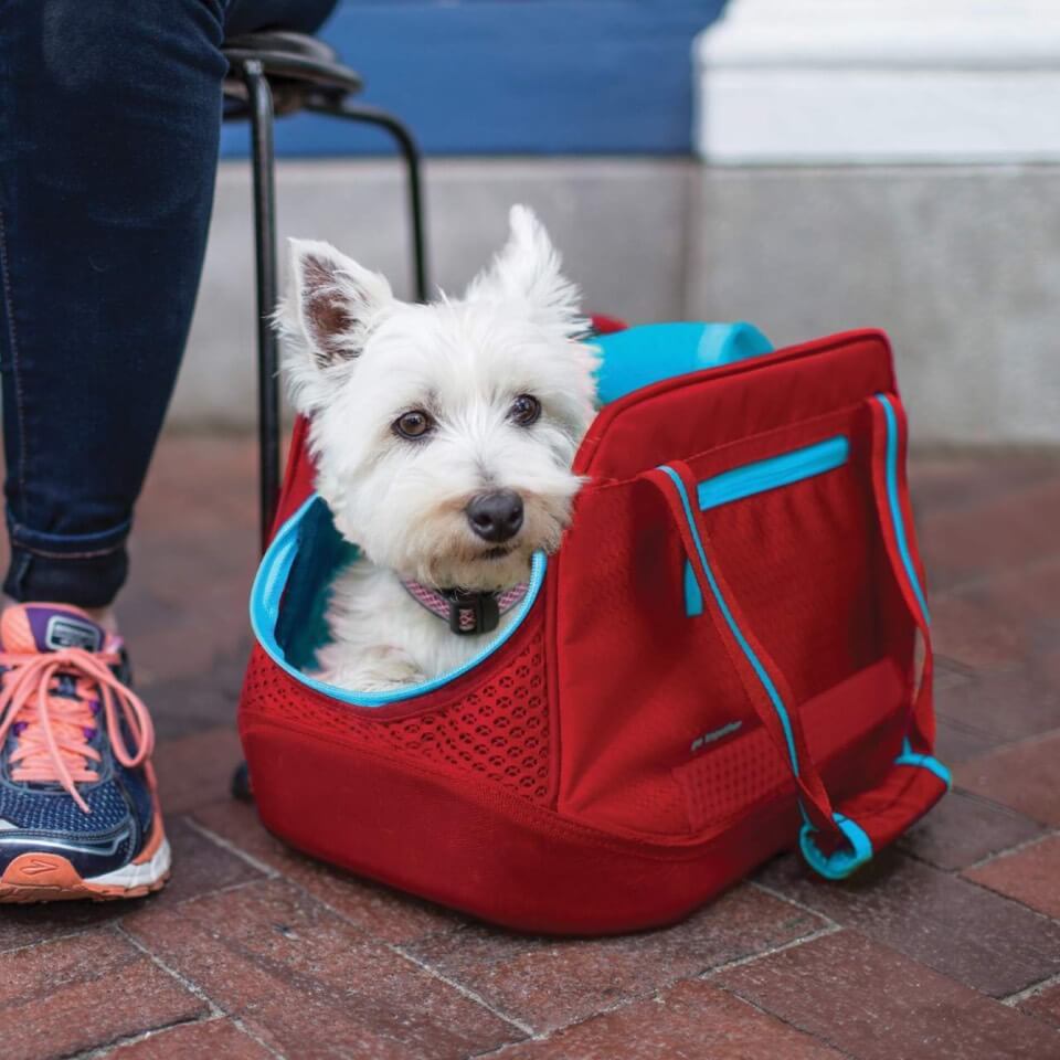 Kurgo Bolso para perro Explorer - Imagen 3