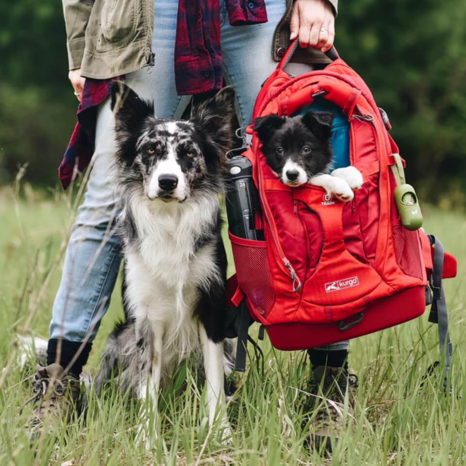 Kurgo Mochila para perro G-Train K9 - Imagen 5