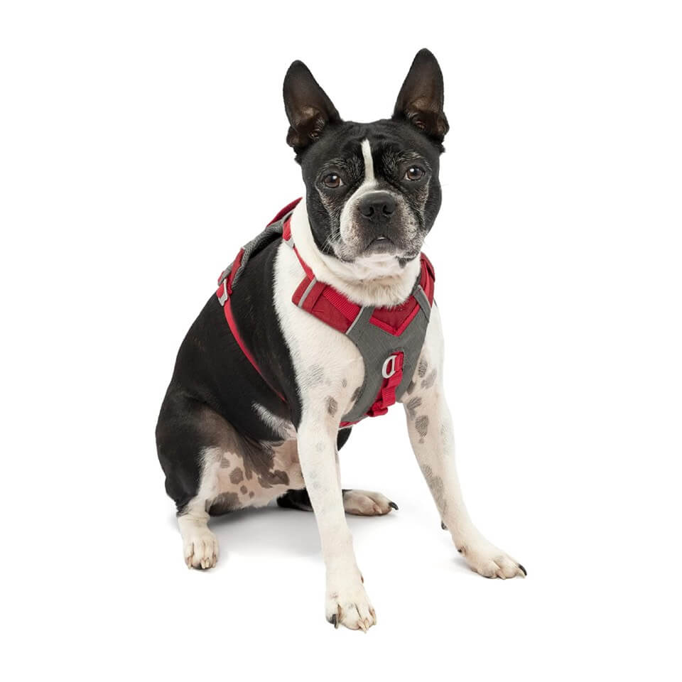 Kurgo Arnés para perro Journey Air Small - Gris/Rojo - Imagen 2
