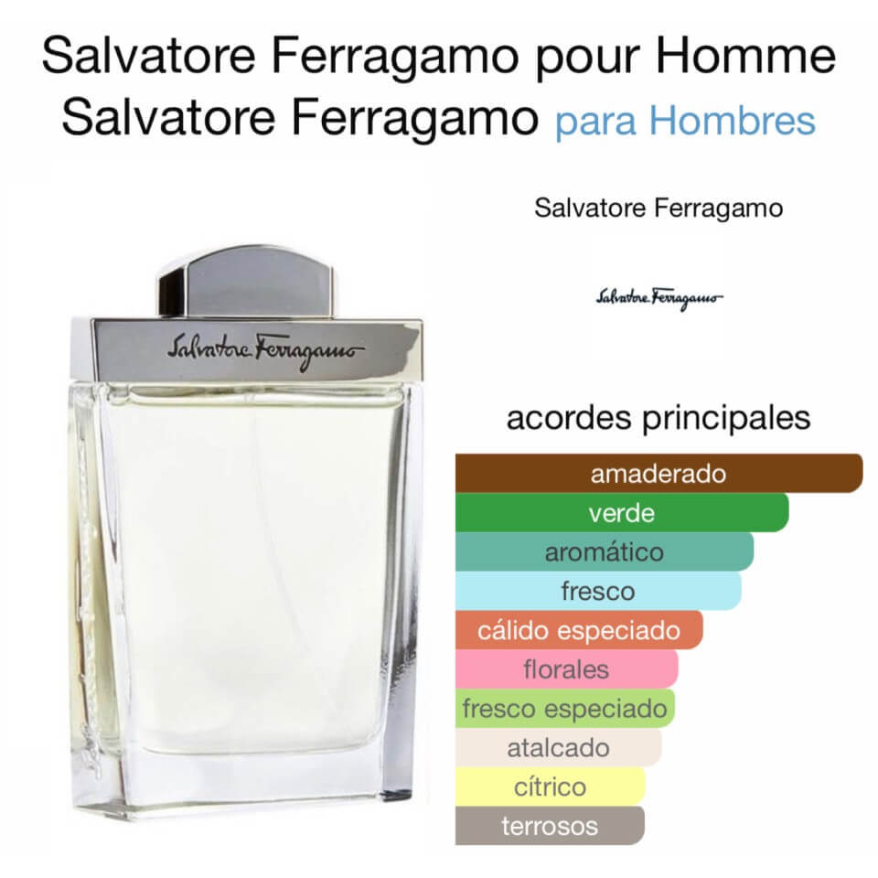 Salvatore Ferragamo pour Homme 100 ml - Imagen 2